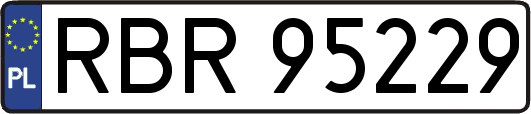 RBR95229