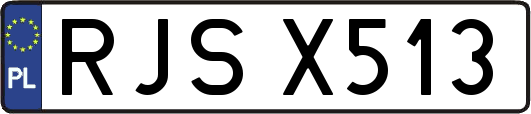 RJSX513