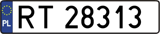 RT28313