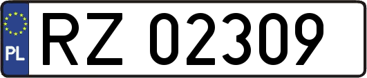 RZ02309