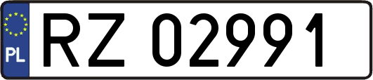 RZ02991