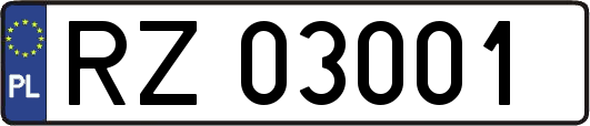 RZ03001