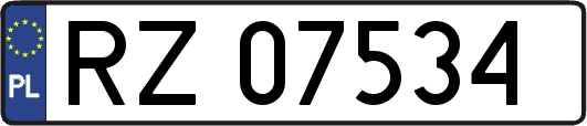 RZ07534