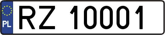RZ10001