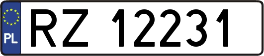 RZ12231