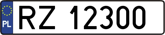 RZ12300