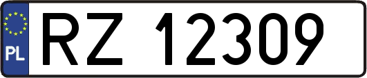 RZ12309
