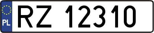 RZ12310