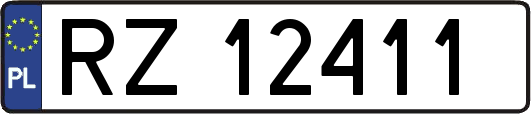 RZ12411