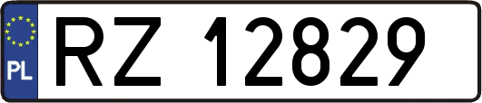 RZ12829