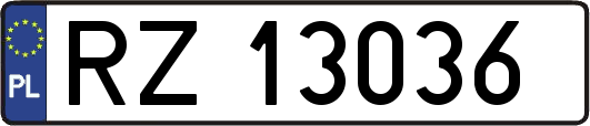 RZ13036