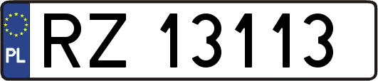RZ13113