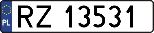 RZ13531