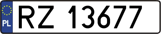 RZ13677
