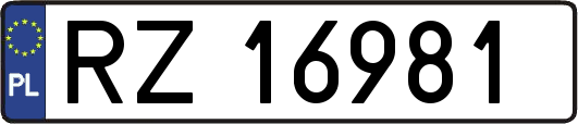 RZ16981