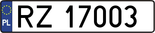 RZ17003