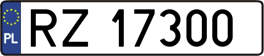 RZ17300