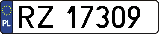 RZ17309