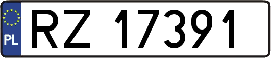 RZ17391