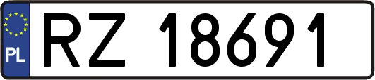 RZ18691