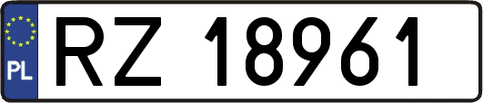 RZ18961