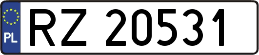 RZ20531