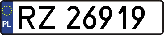 RZ26919