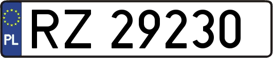 RZ29230