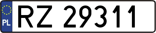 RZ29311