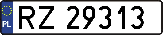 RZ29313