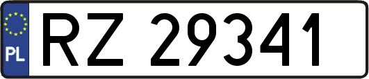 RZ29341