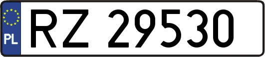 RZ29530