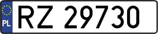 RZ29730