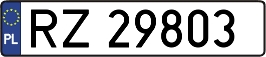 RZ29803