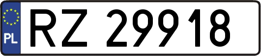 RZ29918