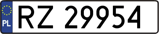 RZ29954