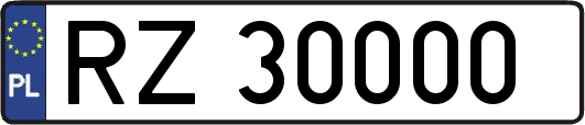 RZ30000