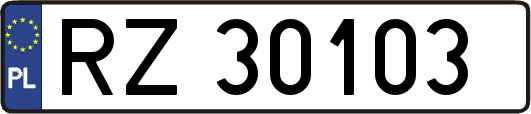 RZ30103
