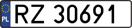 RZ30691