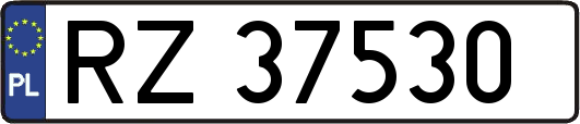 RZ37530