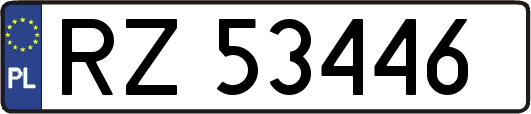 RZ53446