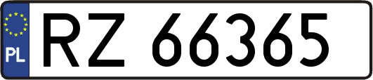 RZ66365