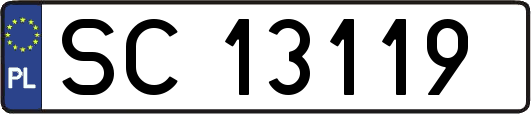 SC13119