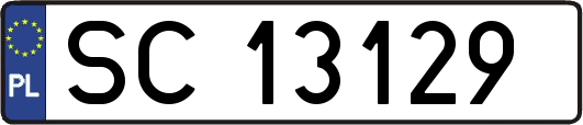 SC13129