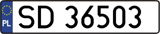 SD36503