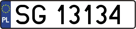 SG13134