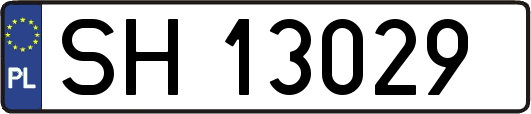 SH13029