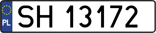 SH13172
