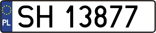 SH13877