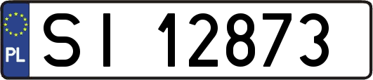 SI12873